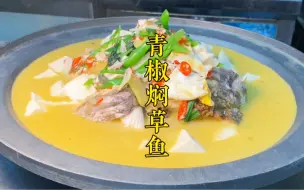 Download Video: 湘菜大厨分享“青椒焖草鱼”家常做法，汤鲜味美，鱼汤泡饭更好吃