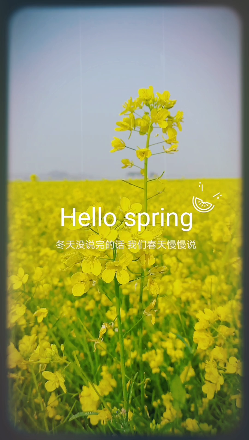 [图]你好春天【视频混剪】