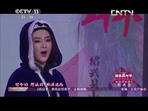 【片段】《桃花扇ⷮŠ追念》张琳 唱词字幕哔哩哔哩bilibili