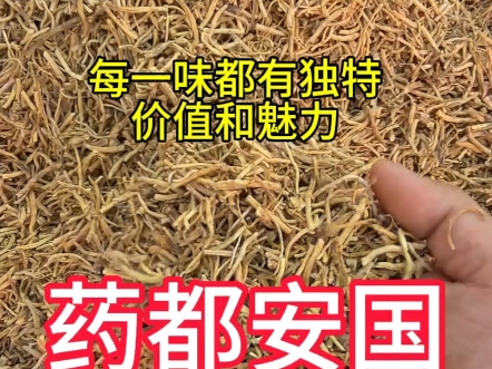 【龙龙采药记】最新视频上线,求关注!哔哩哔哩bilibili