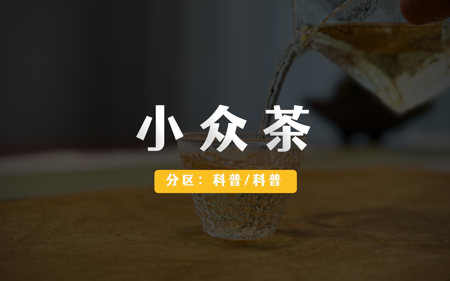 什么是小众茶?各地都有哪些小众茶?哔哩哔哩bilibili