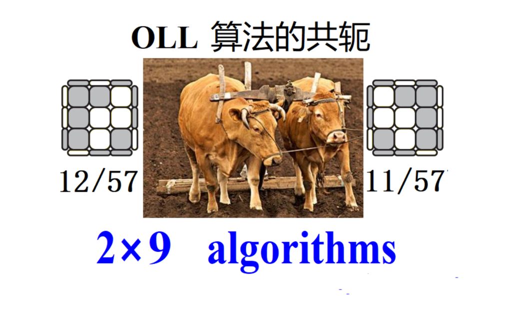 OLL算法的共轭:OLL (11/57) 和 OLL (12/57)哔哩哔哩bilibili