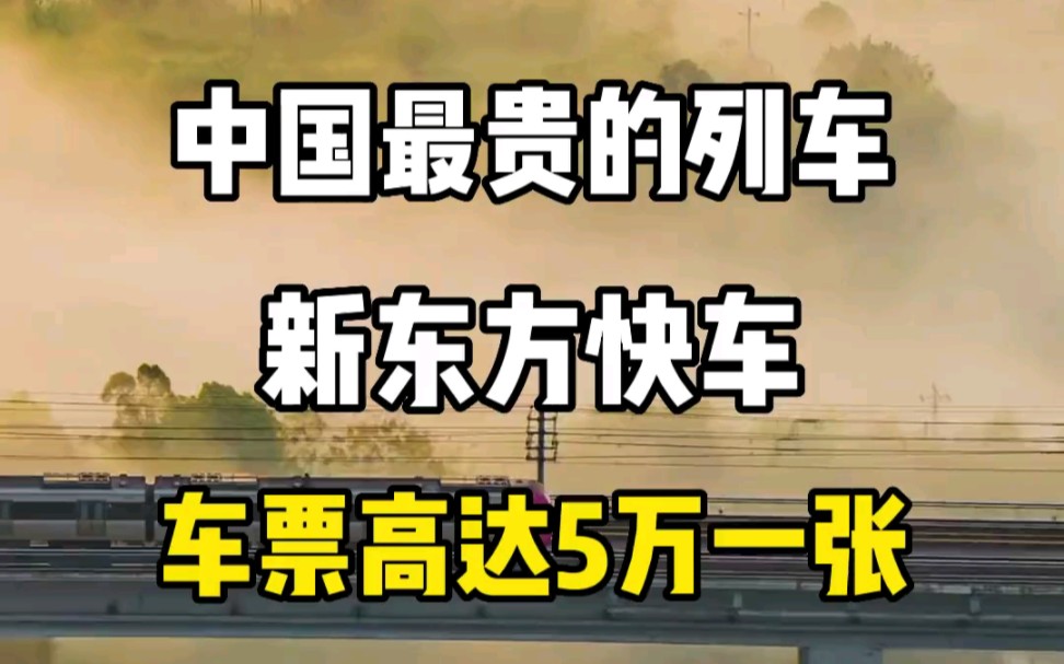 火车界的天花板,车票高达5万一张,你会选择坐吗哔哩哔哩bilibili