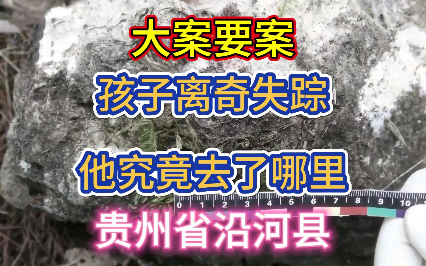 大案要案:孩子离奇失踪,他究竟去了哪里?(贵州省沿河县命案)哔哩哔哩bilibili