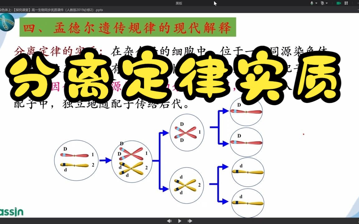 分离定律实质哔哩哔哩bilibili