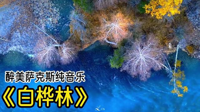 浪漫萨克斯纯音乐,经典老歌怀旧金曲《白桦林》,一代人的记忆!