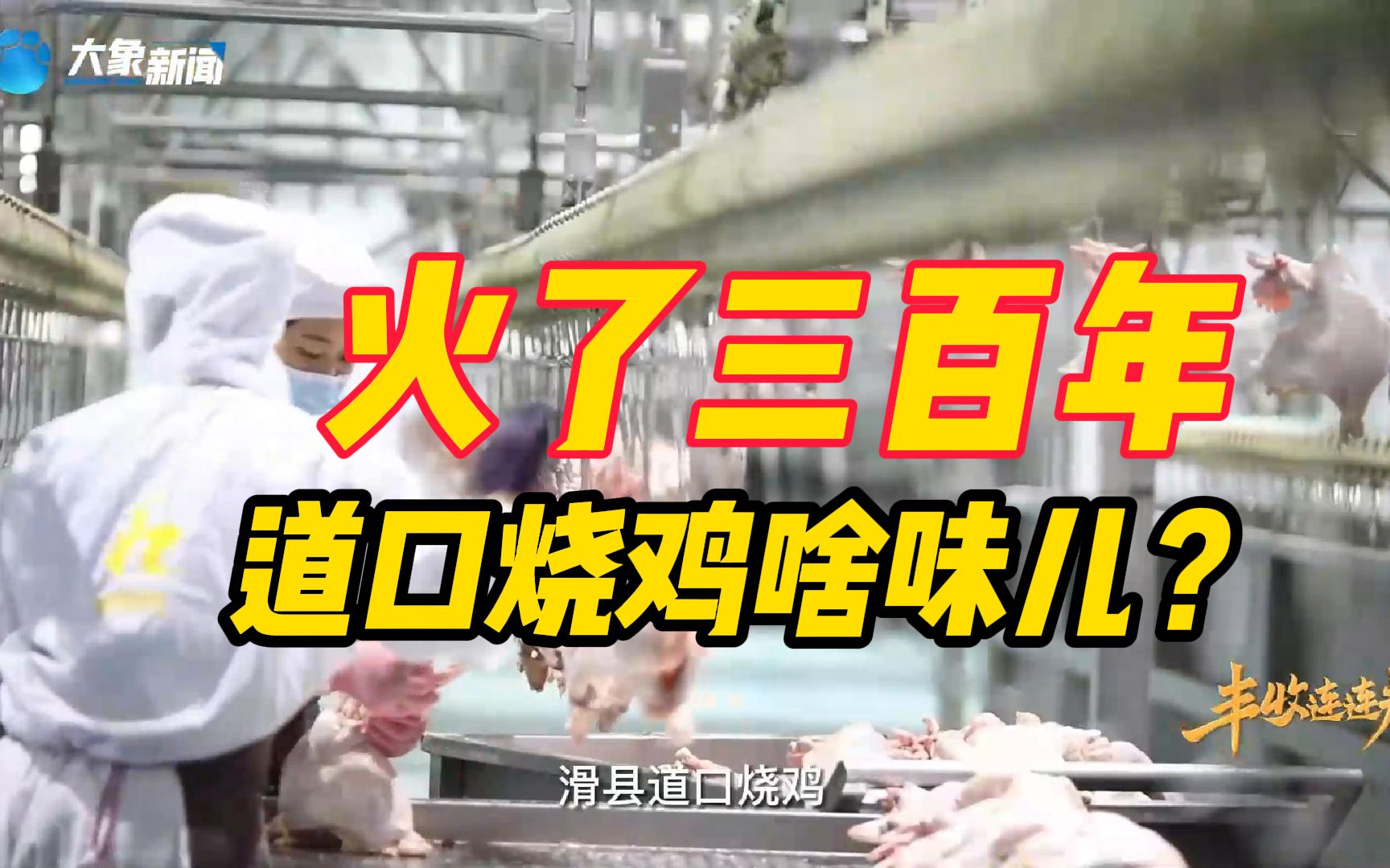 火了三百年的道口烧鸡啥味儿?安阳市农业农村局局长请你美食“炫”不停!哔哩哔哩bilibili