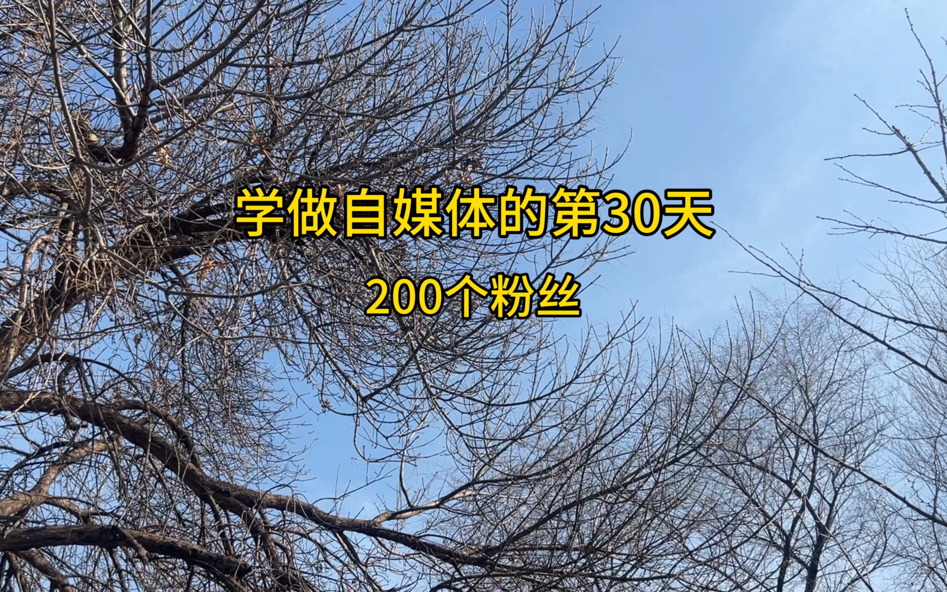 学习自媒体的第30天,收获了200个粉丝,继续努力.哔哩哔哩bilibili