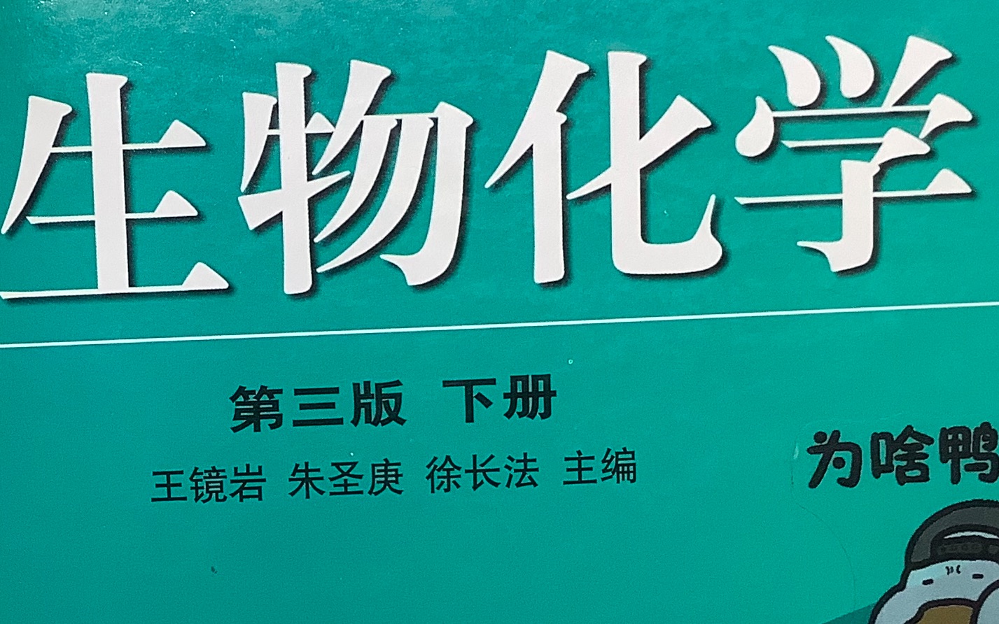 蛋白质一级结构的测定 生物化学考研 思维导图哔哩哔哩bilibili