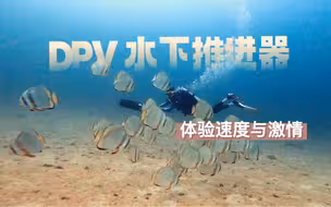 水下推进器是真的好玩……追鱼变成了可能😁😁😁
