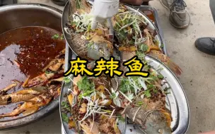 Descargar video: 山东大席小王子现场制做“麻辣鱼”，用料十足，鱼肉香嫩可口