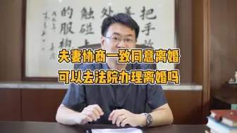 Download Video: 夫妻协商一致同意离婚，可以去法院办理离婚吗？