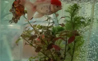 容膝 搜索结果 哔哩哔哩 Bilibili 容膝 搜索结果 哔哩哔哩 Bilibili