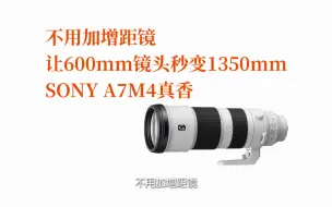 Télécharger la video: 不用加增距镜，让600mm镜头秒变1350mm，SONY A7M4真香！