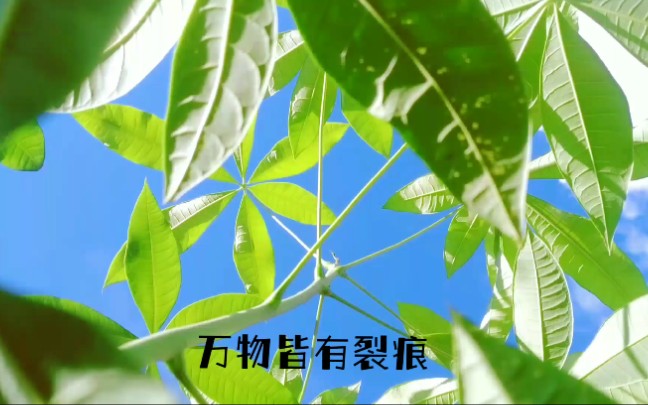 触手可及的天空