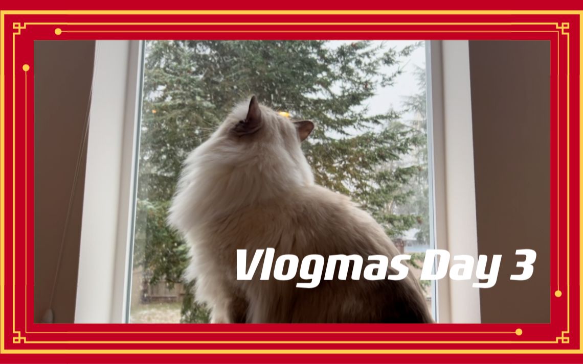 [图]Vlogmas Day 3|西雅图的初雪｜工作日人与猫的吃吃喝喝｜撸猫日常