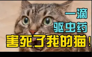 Download Video: 一滴驱虫药竟然害死了我的猫！