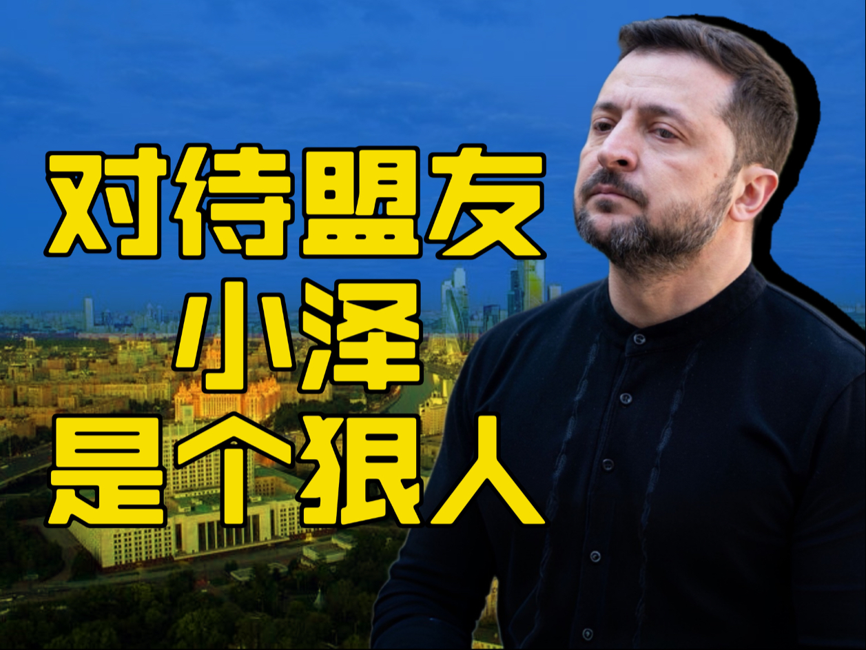 泽连斯基对盟友挺狠的