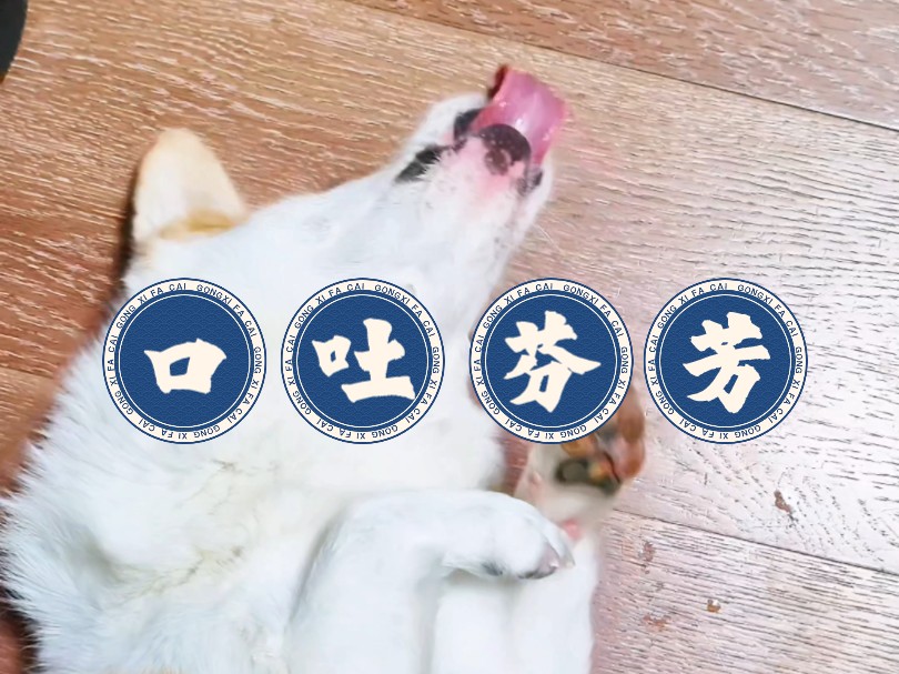 小狗口吐芬芳