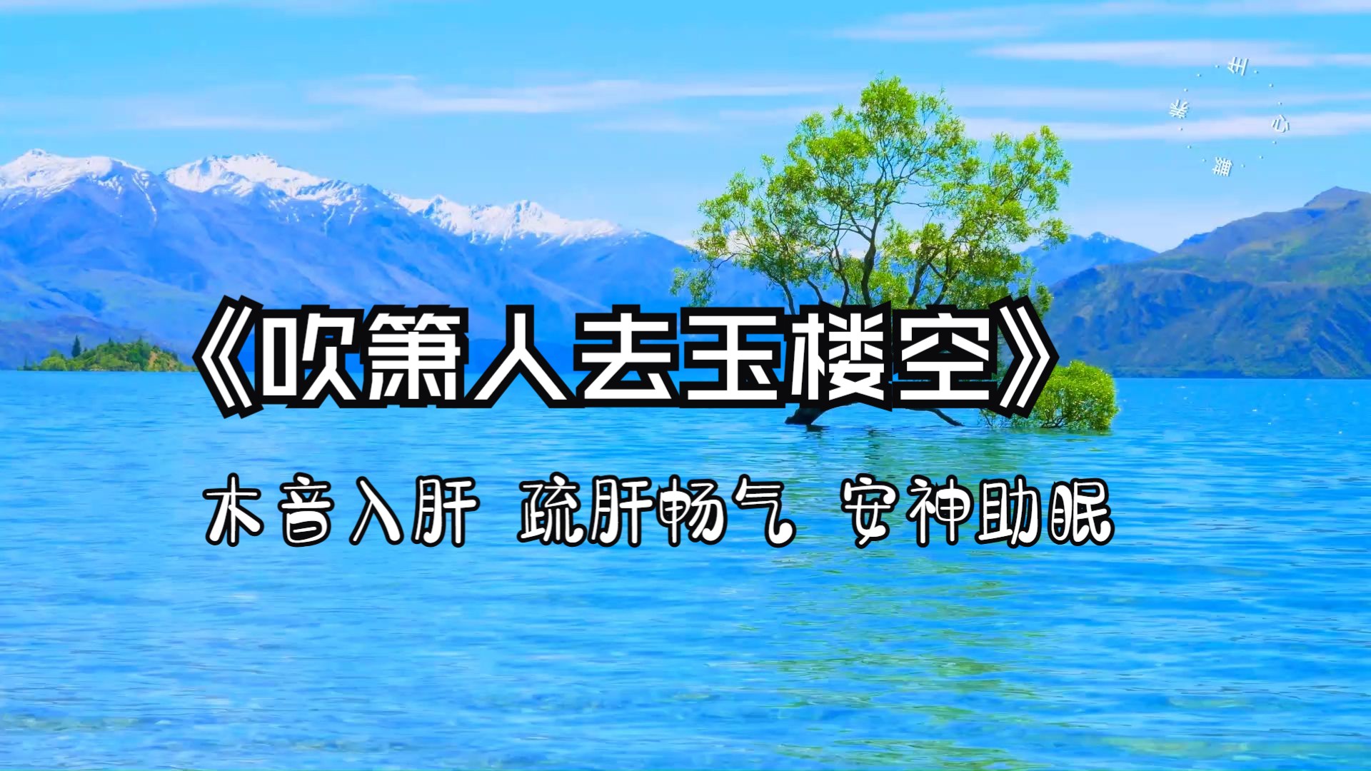 五音疗疾 木音入肝 疏肝畅气 解忧减压 放松心情 安神助眠《吹箫人去玉楼空》顶级古风音乐哔哩哔哩bilibili