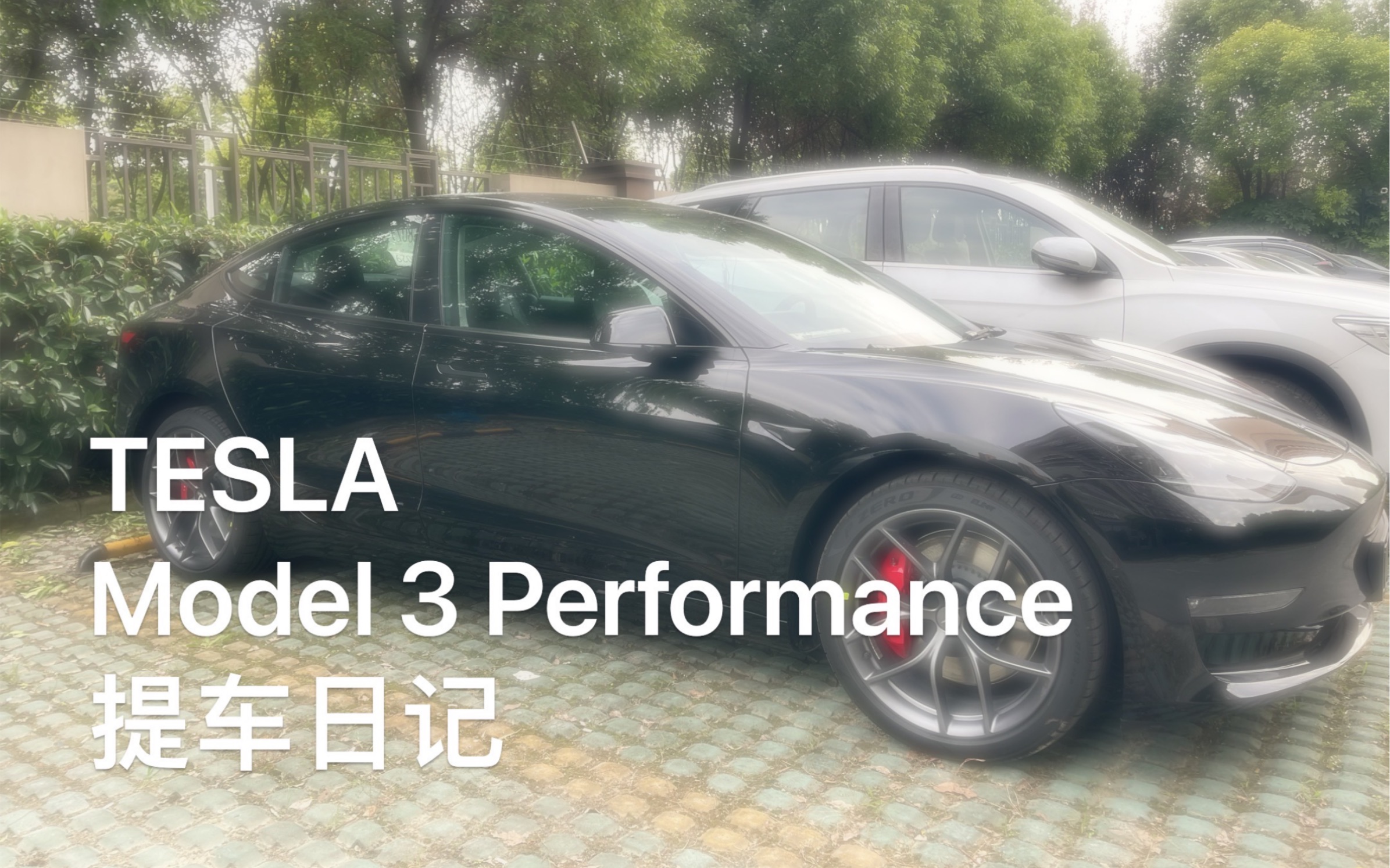 【Daily VLOG】上海闵行特斯拉交付中心Tesla Model3高性能提车记哔哩哔哩bilibili