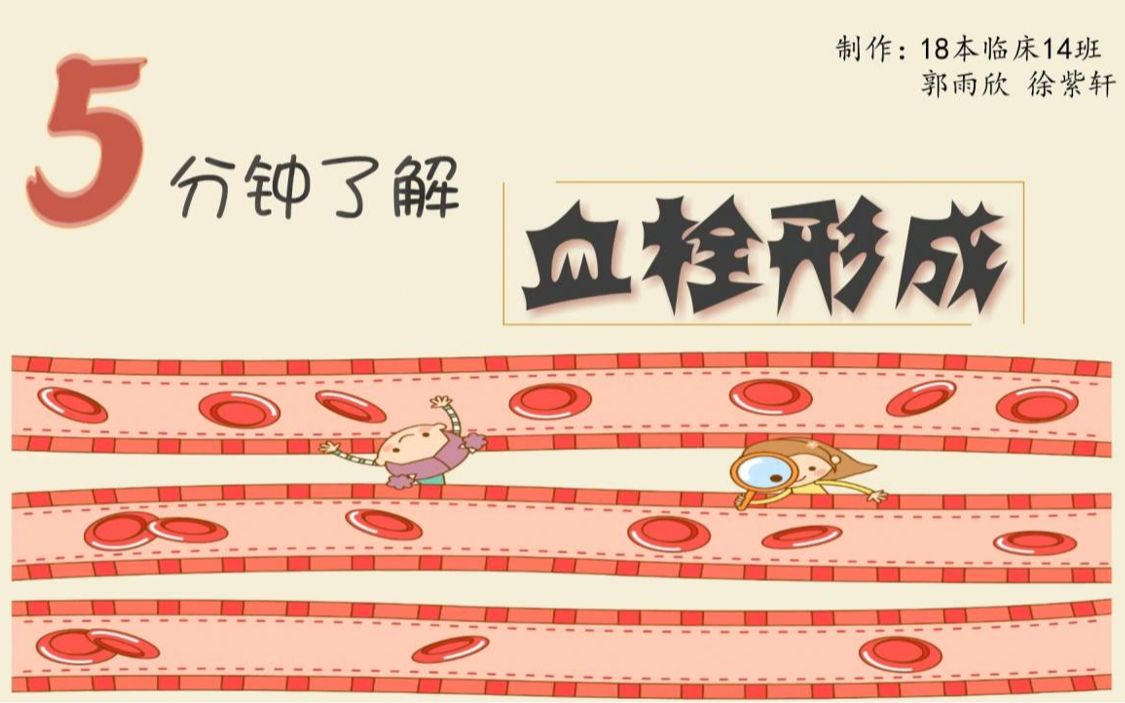 血栓通的功效(血栓通,有效预防血栓,保护心脑健康)