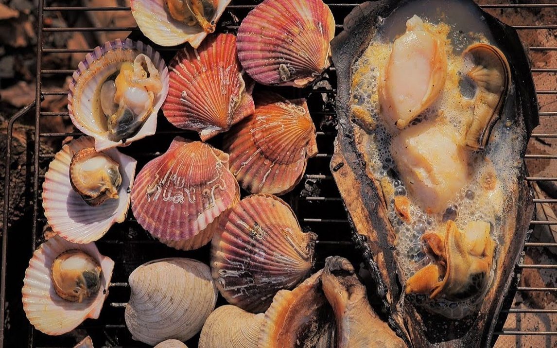 【campinghankki】烤贝壳gilled shellfish保宁吴西山自然休养林野营