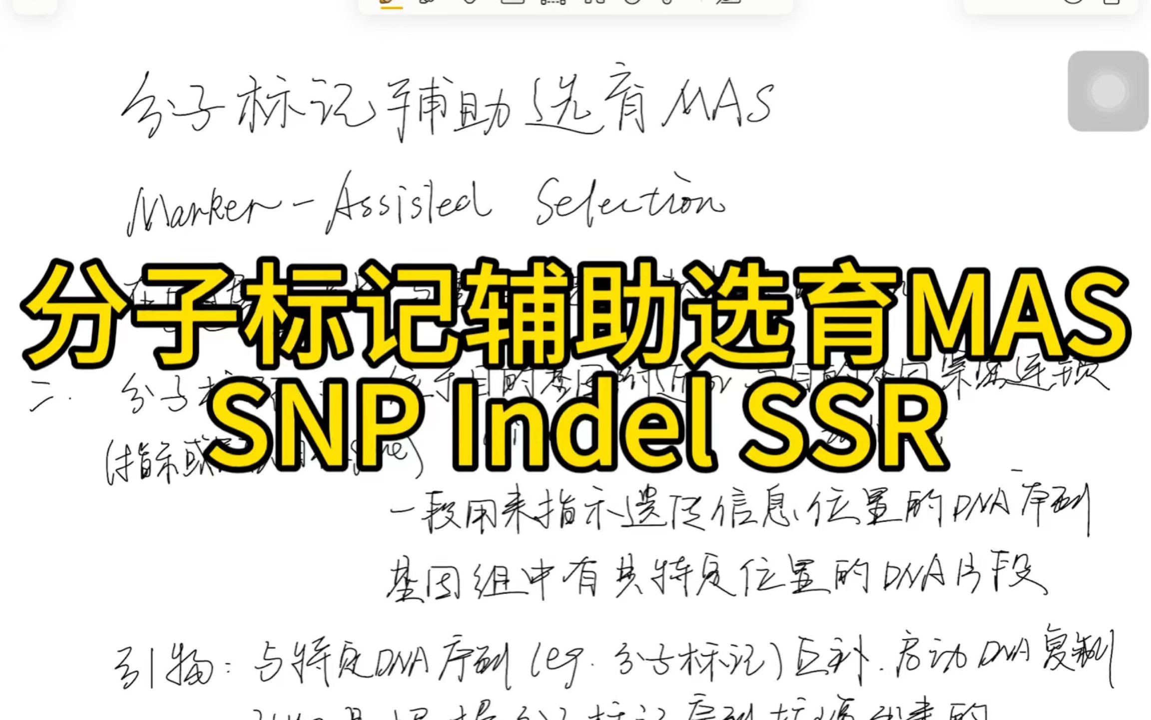 分子标记辅助选育SNP Indel SSR哔哩哔哩bilibili