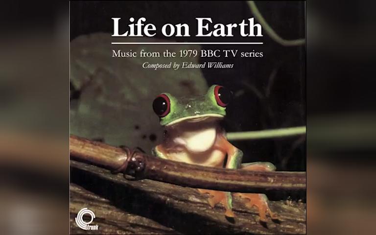 【BBC】生命的进化 纪录片原声 Life on Earth Soundtrack (1979)  Edward Williams哔哩哔哩bilibili