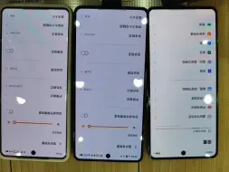 Télécharger la video: 来看看iQOO12的展示机和售卖机屏幕差距，触控IC爆出是汇顶的了