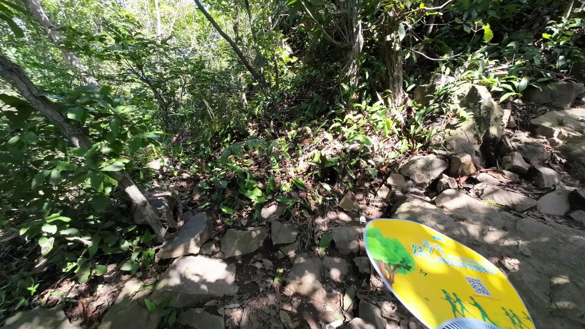260912宜兴铜官山猫猫线