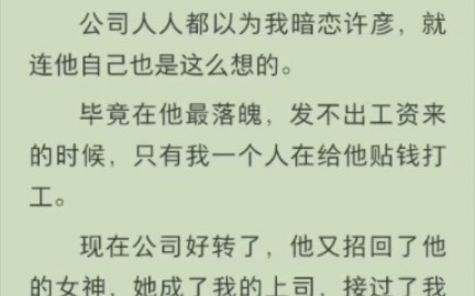 (完结版)公司人人都以为我暗恋许彦,就连他自己也是这么想的.毕竟在他最落魄,发不出工资来的时候,只有我一个人在给他贴钱打工.哔哩哔哩bilibili