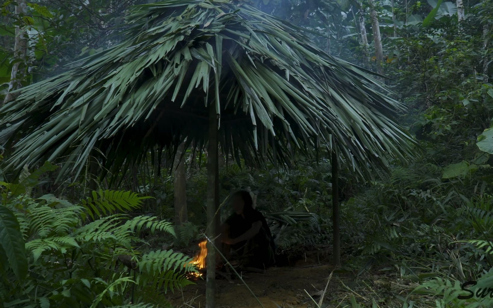 原始丛林人-6个月的丛林生存,45集,荒野求生,野外生存-建立一个新家