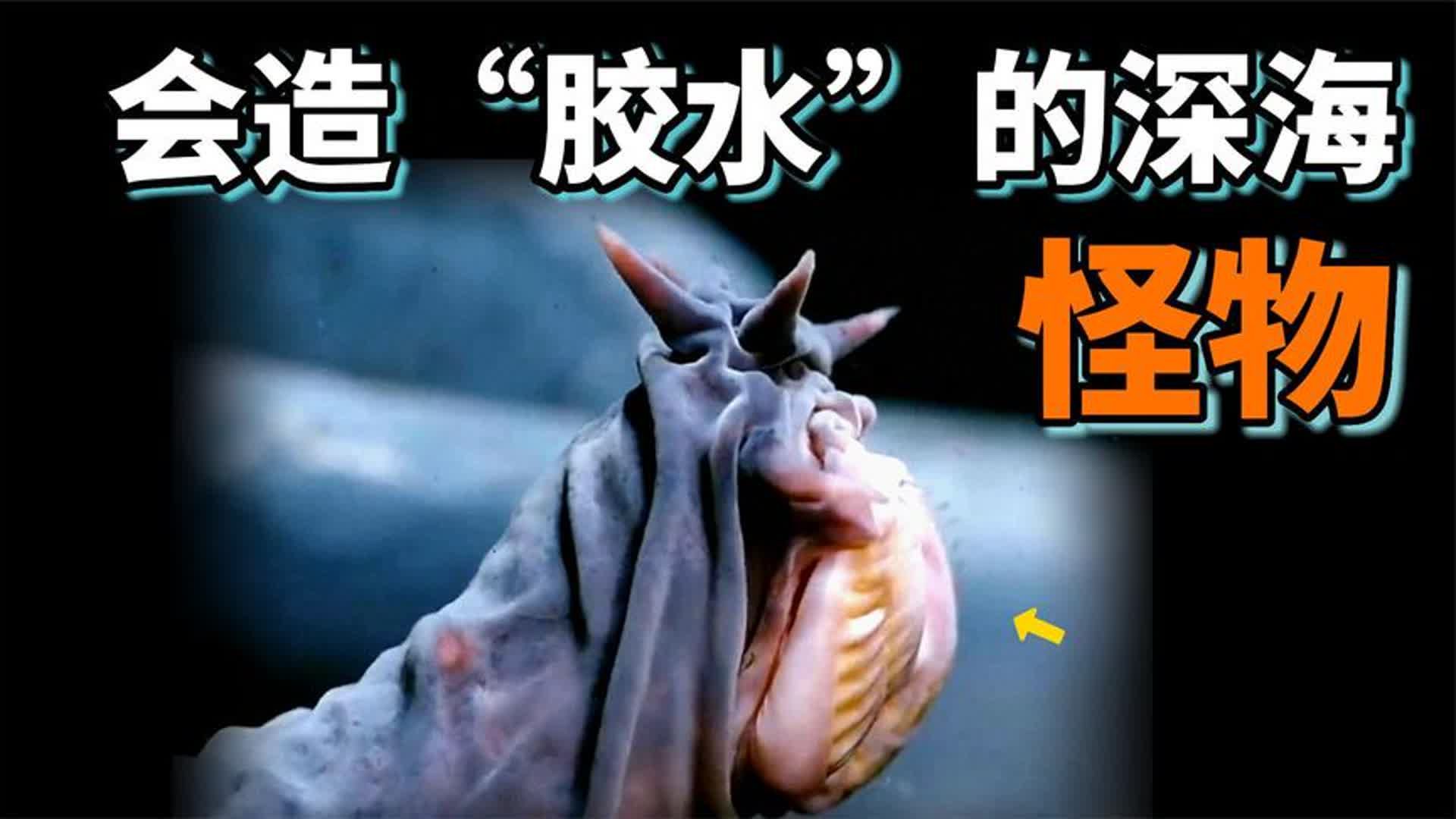 盲鳗之谜:会造“胶水”的古老生物,所有鱼不敢吃它,称霸海底哔哩哔哩bilibili