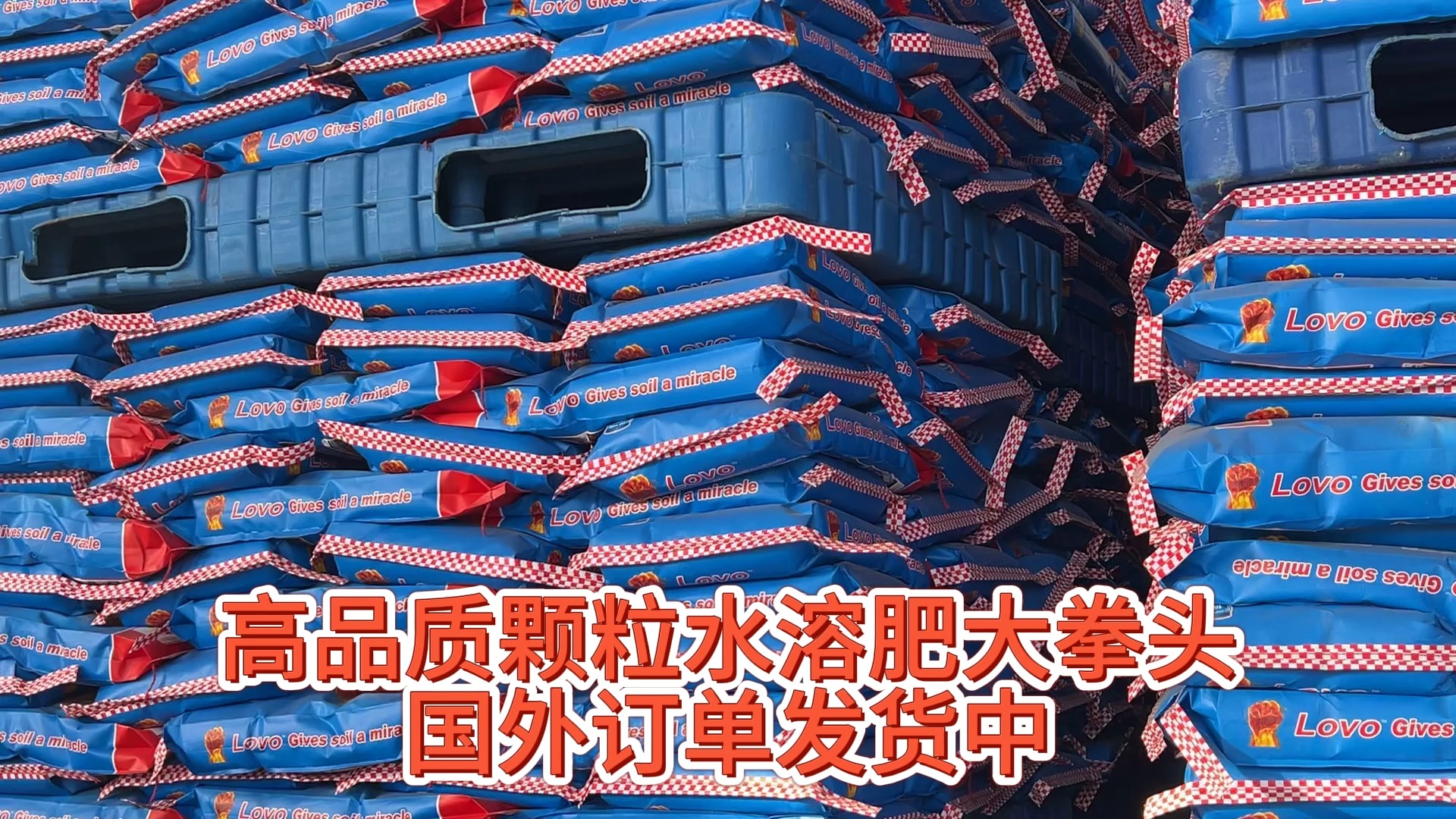 高品质颗粒水溶肥大拳头海外订单发货中