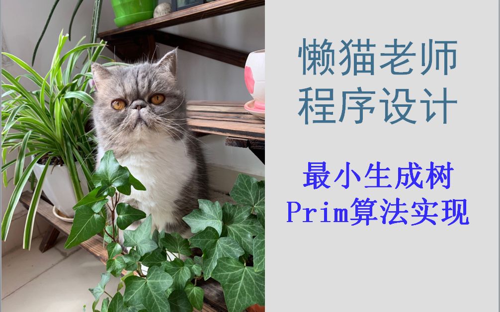 懒猫老师数据结构(43)最小生成树(Prim算法的实现,普里姆算法,普利姆)哔哩哔哩bilibili