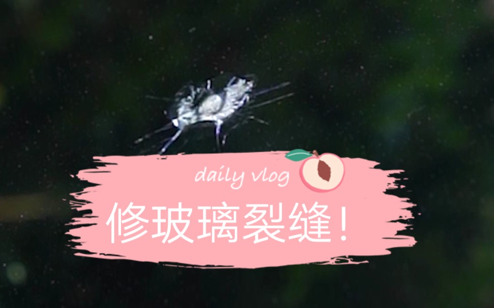 车玻璃裂缝这样修补!哔哩哔哩bilibili