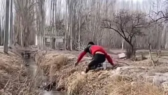 信 条2