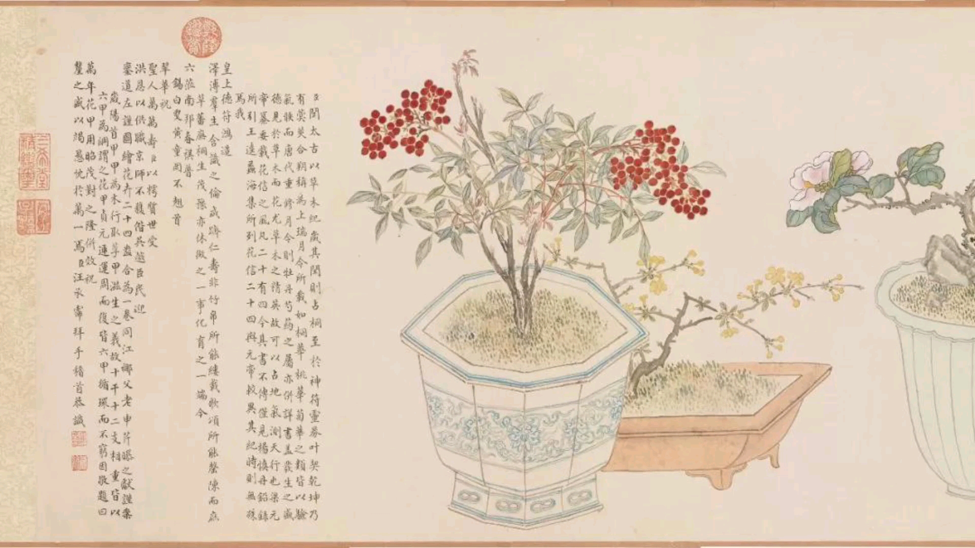 [图]【清代画家汪承霈笔下《画万年花甲》 全卷加细节一次看个够】卷，纸本设色，37.5×549.8cm，台北故宫博物院藏。