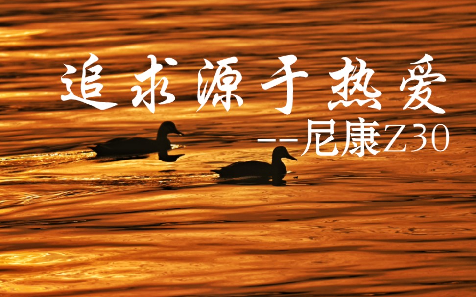 【追求源于热爱】热爱摄影的朋友,让热爱持续下去!