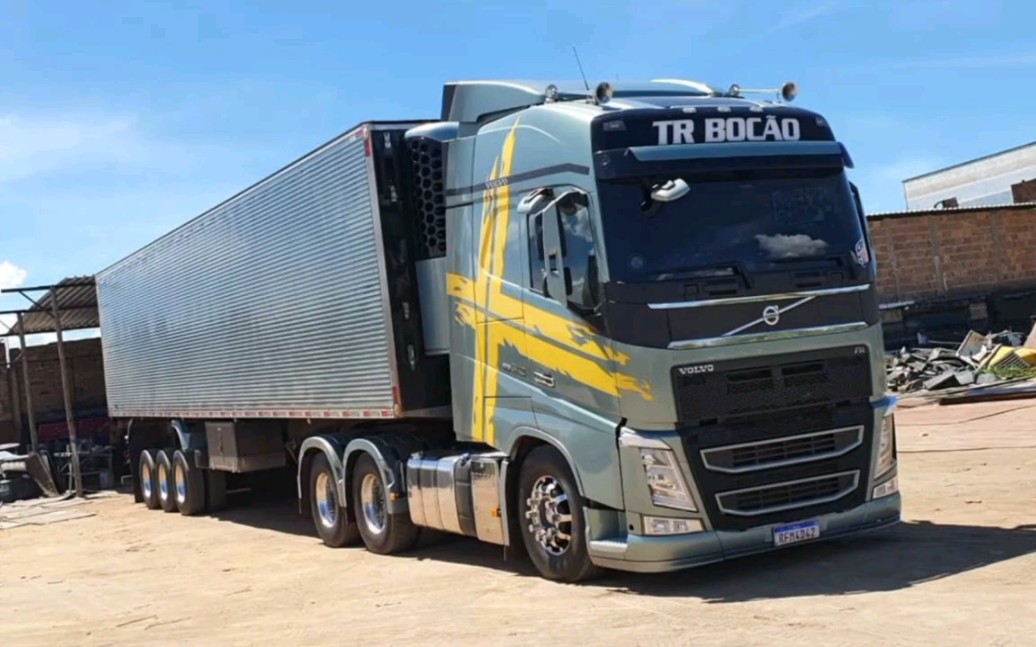 巴西卡车合集(五十六)之冷藏车集