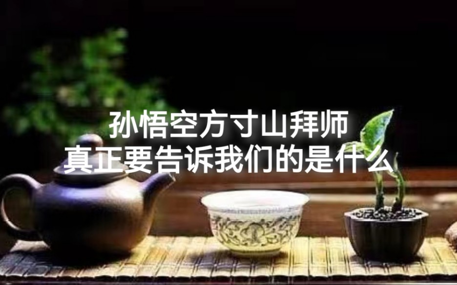 [图]孙悟空方寸山拜师学艺真正要告诉我们的是什么？ #人生感悟 #国学智慧