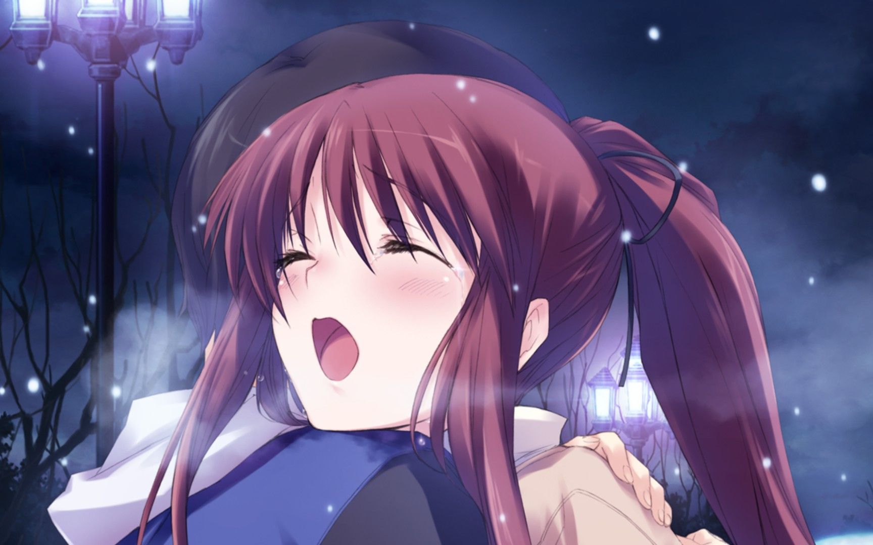 白色相簿被点缀的冬之回忆如月小夜子线合集