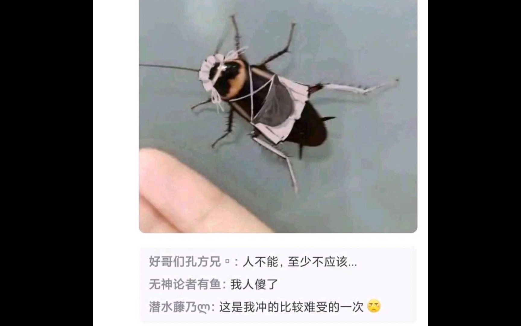 【逆天吊图】73又是难绷的一天73(第七期)