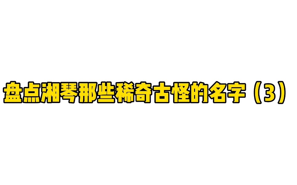 盘点湘琴那些稀奇古怪的名字(3)哔哩哔哩bilibili