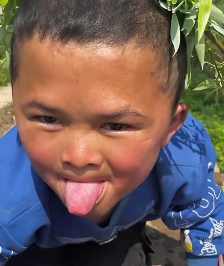 小马云迷惑行为