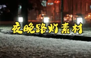 Download Video: 短视频素材：099夜晚路灯视频素材|总有那么一路光，和谐了城市的繁华~