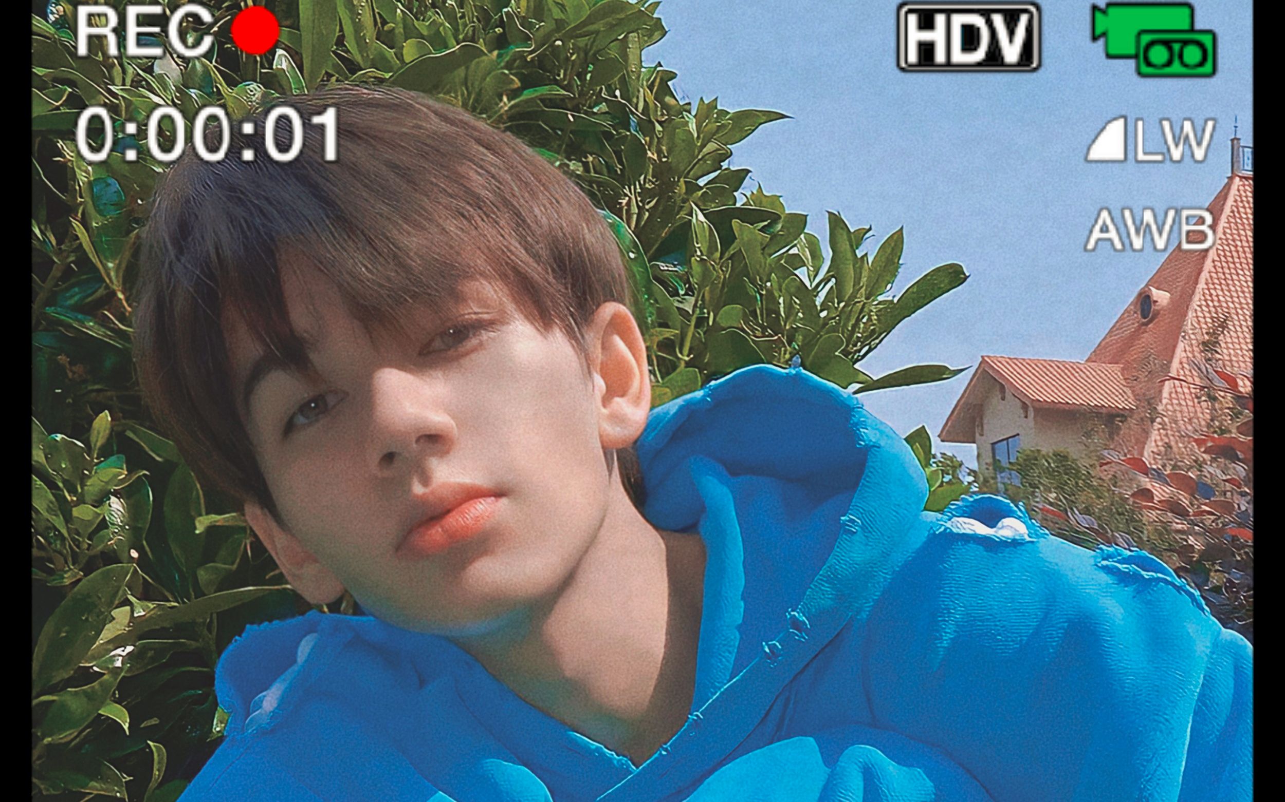 【庆怜caelan】this is what you came for颜向心动混剪(复古胶片风)