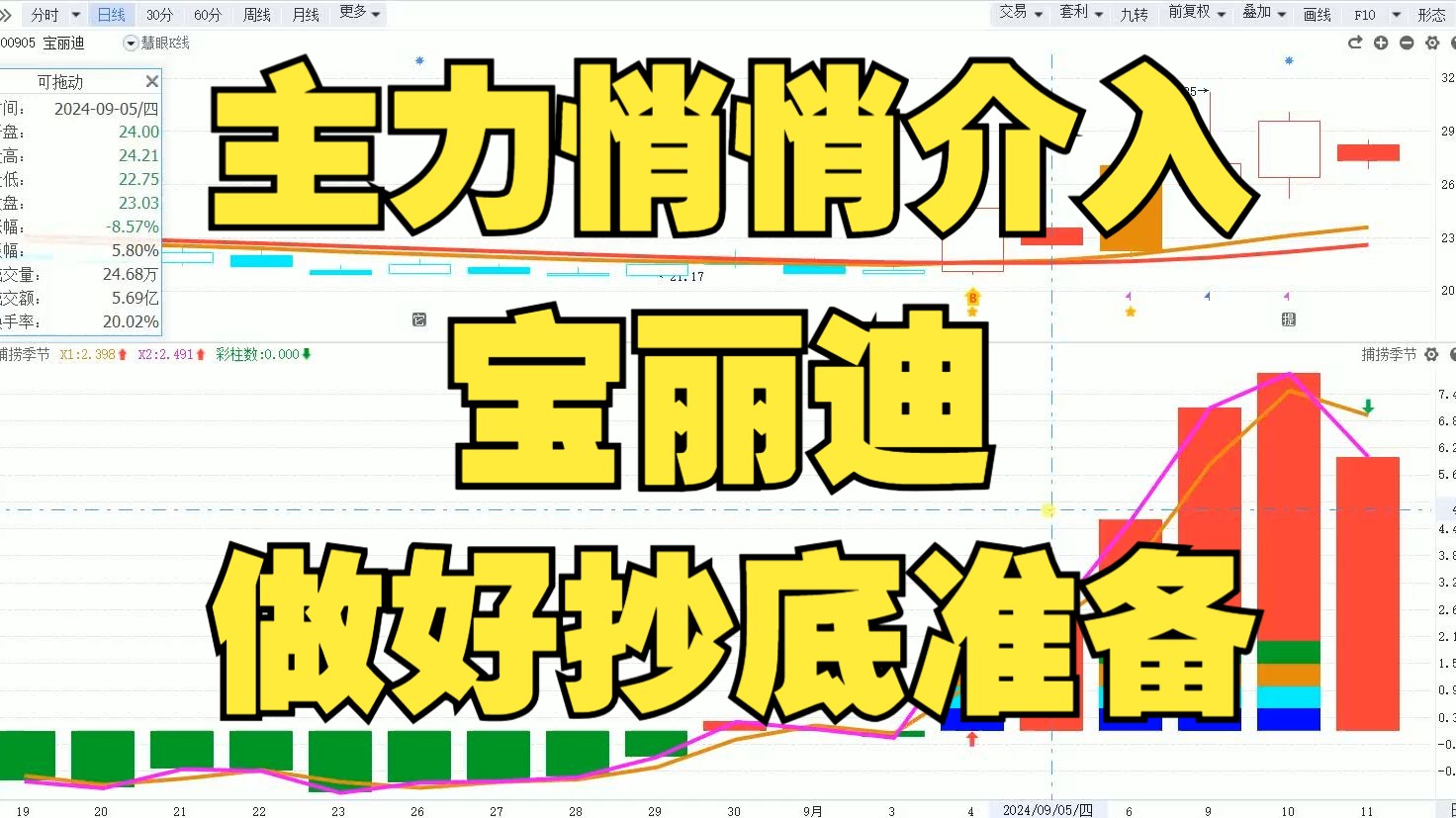 宝丽迪!主力悄悄介入?做好抄底准备?哔哩哔哩bilibili