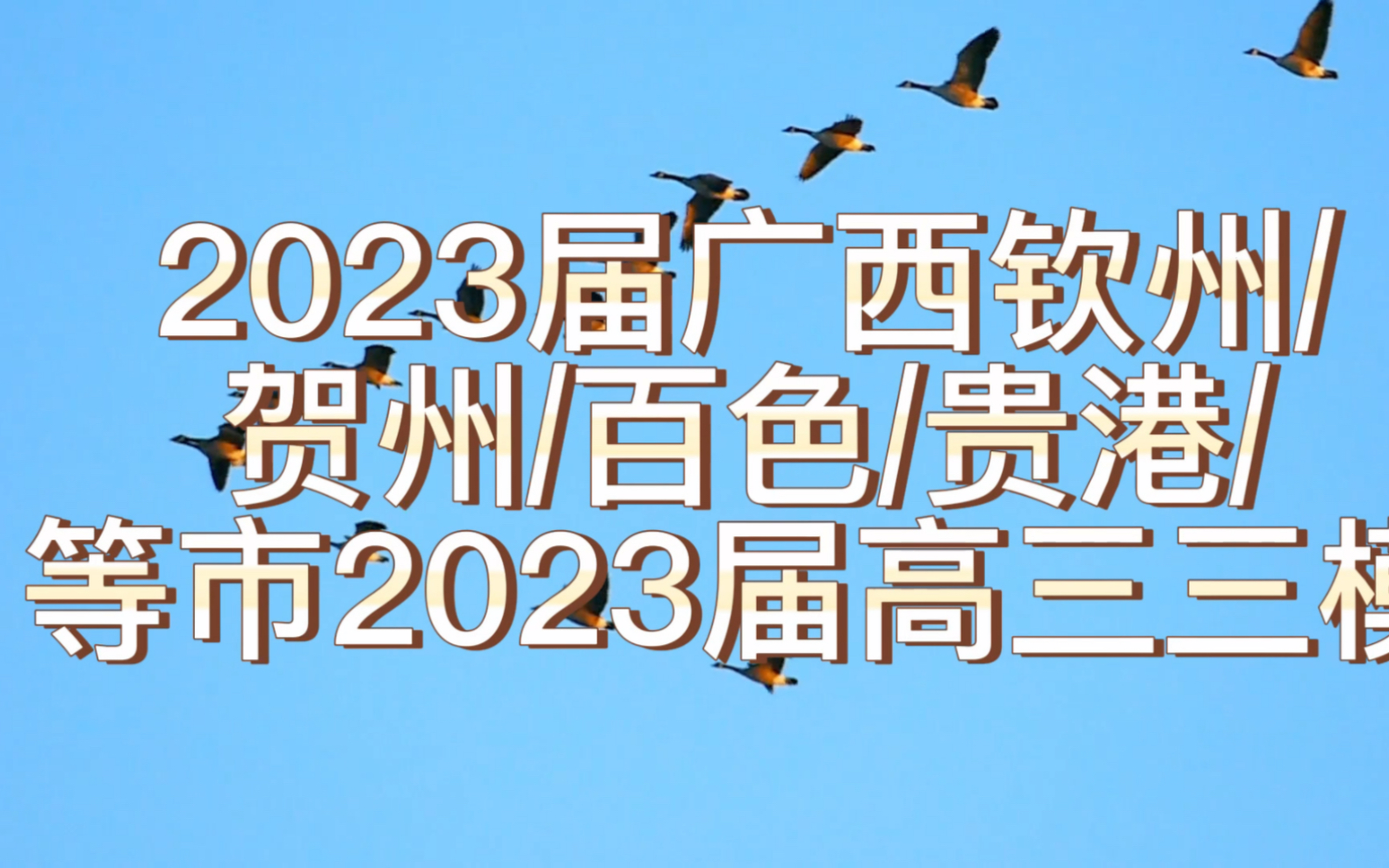 2023届广西钦州梧州贺州百色贵港北海市等九市2023届高三二模L哔哩哔哩bilibili